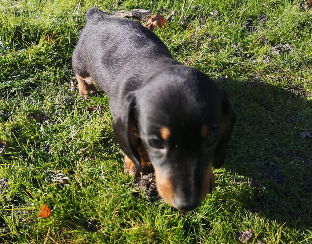 [Image: IMG-20201202-WA0000.jpg]