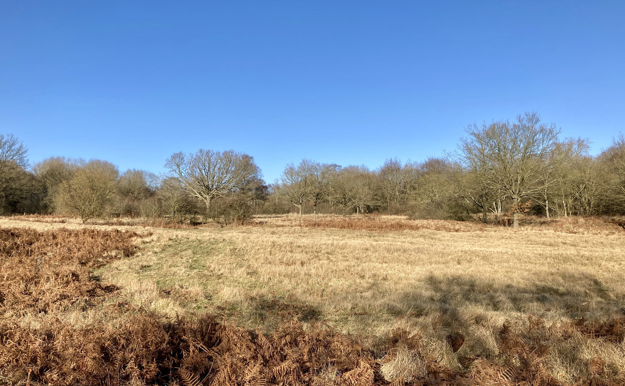 4471DF88-E382-4F1E-AA8B-8B0D27691DB5