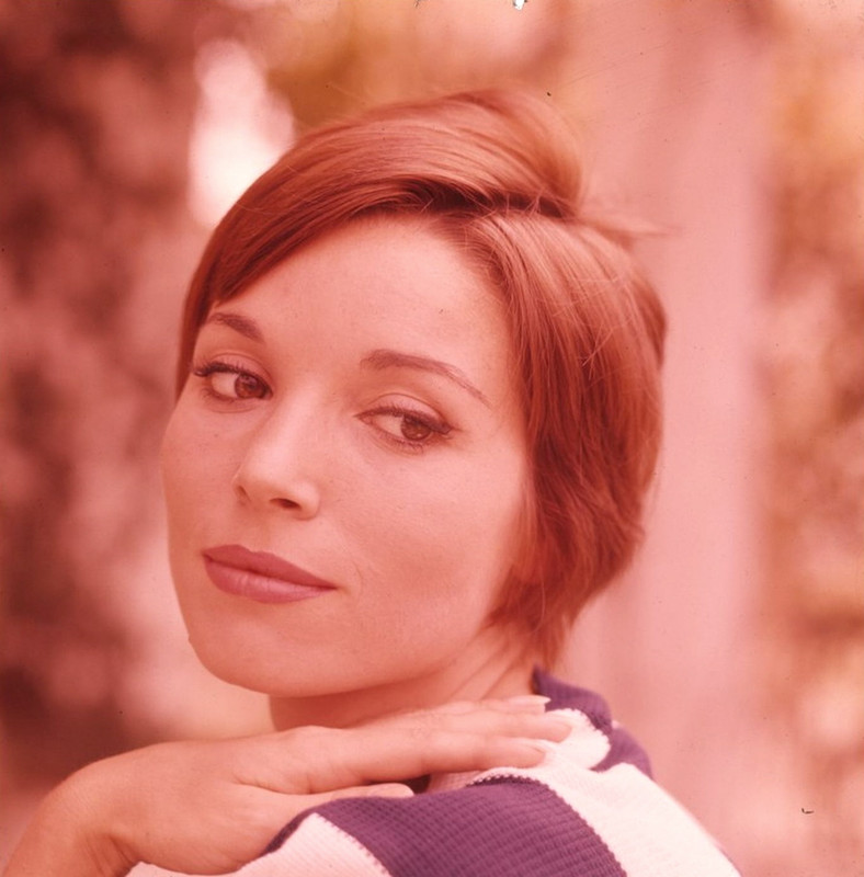 elsa_martinelli_d91