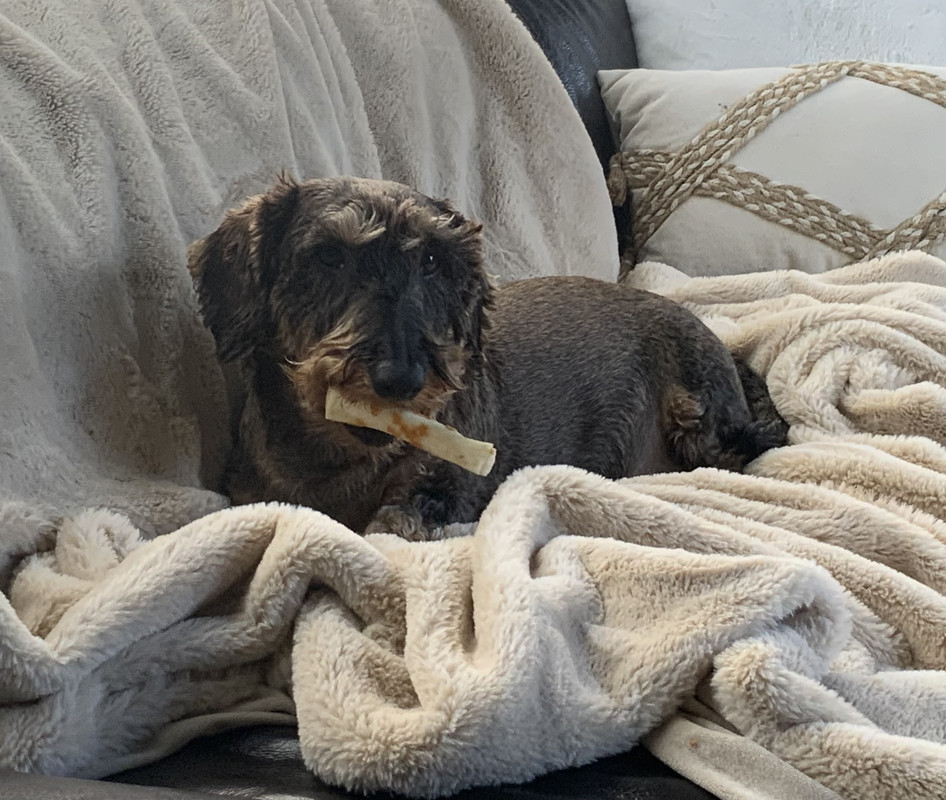 [Image: IMG-3672.jpg]