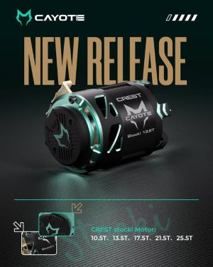 team-Cayote-Crest-Stocki-Motor.jpg
