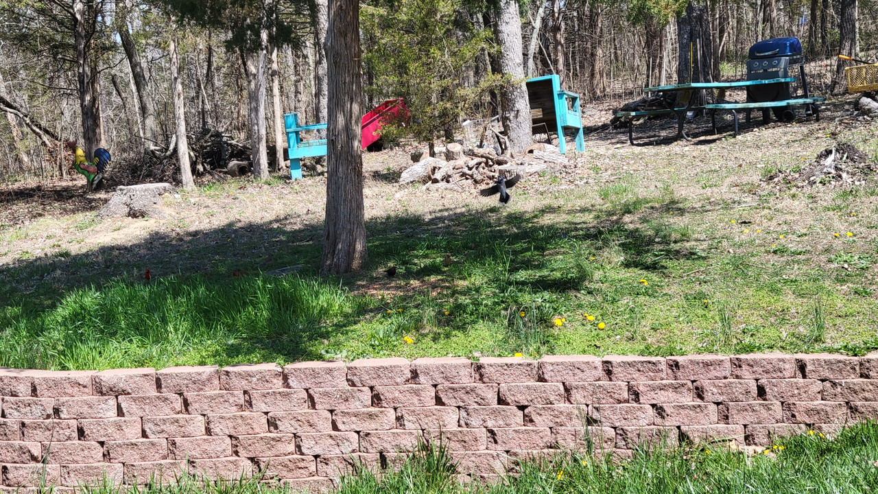 2021-4-2 Blue Jays (1)