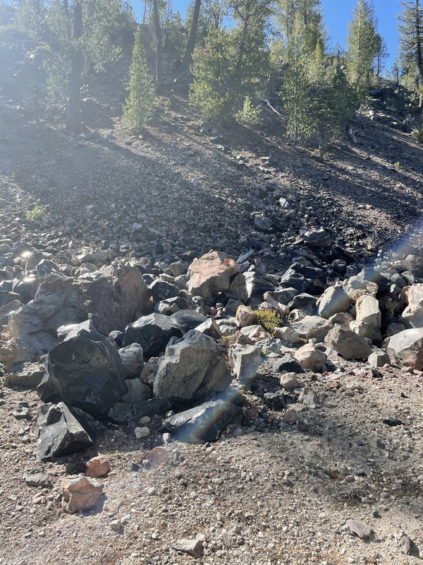 3B136359-6E9D-4176-9F06-721CAED44EEC