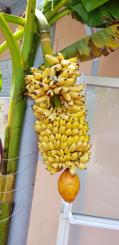 IMG-d3b7afc09773bf08b10ab72049e27a8b-V-1