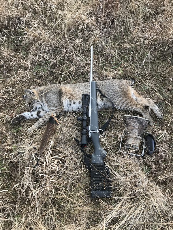 E4623C11-B2C2-4F41-93C2-08400F372290