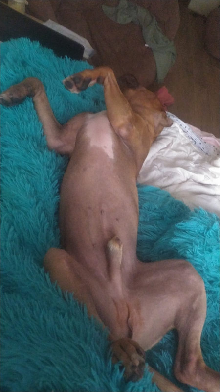 3D0B194C-5F8A-46A2-A44A-762ACCCC2A92