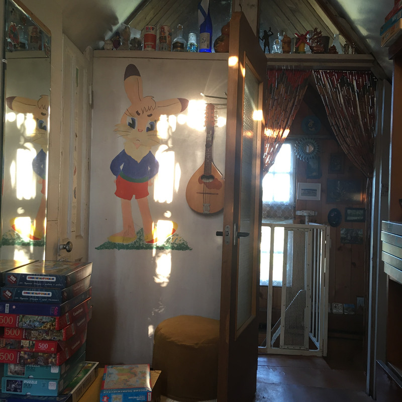 Дачное августовское с айфона 2024 007