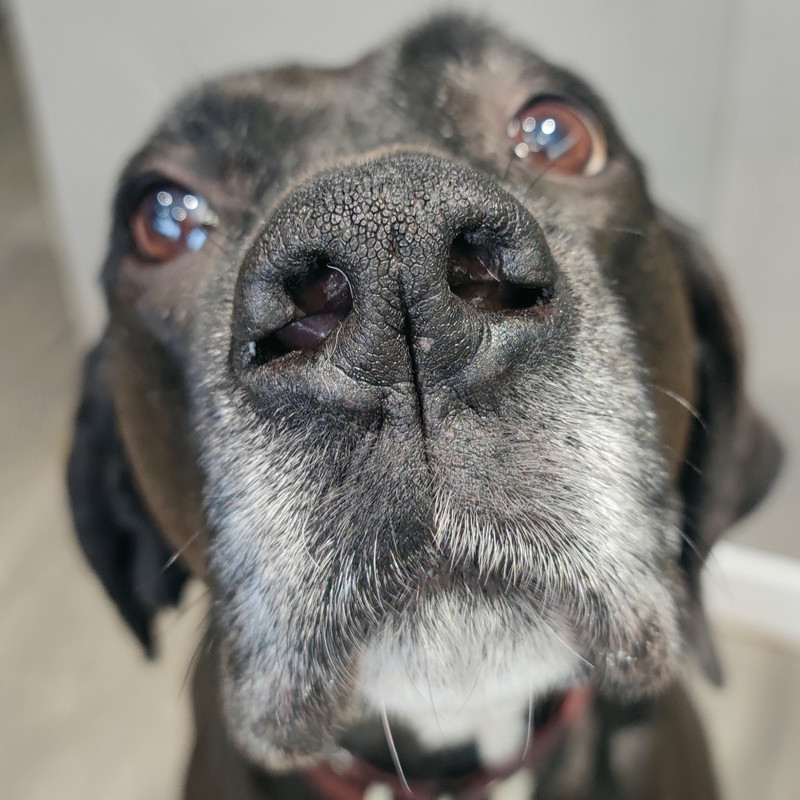 IMG_20230127_164557 (1)