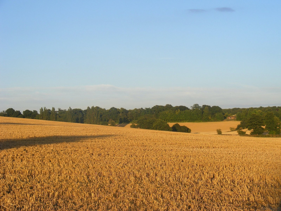 field-autumn-HD.jpg