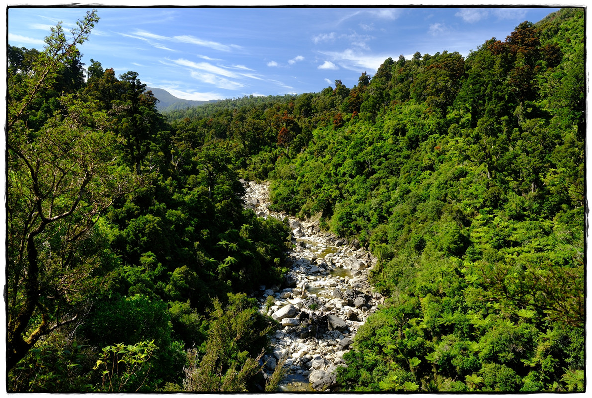 Paparoa NP: Paparoa Track (diciembre 2024) - Escapadas y rutas por la Nueva Zelanda menos conocida (48)