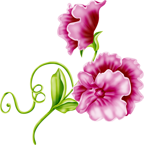 KBK_PrettyRabbit (53)