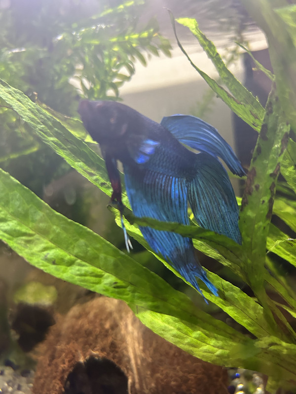 0F26667F-EBF0-49C4-9192-EDDBCA63E185