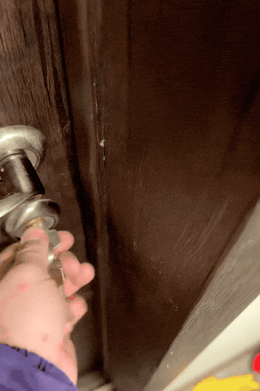 65.gif