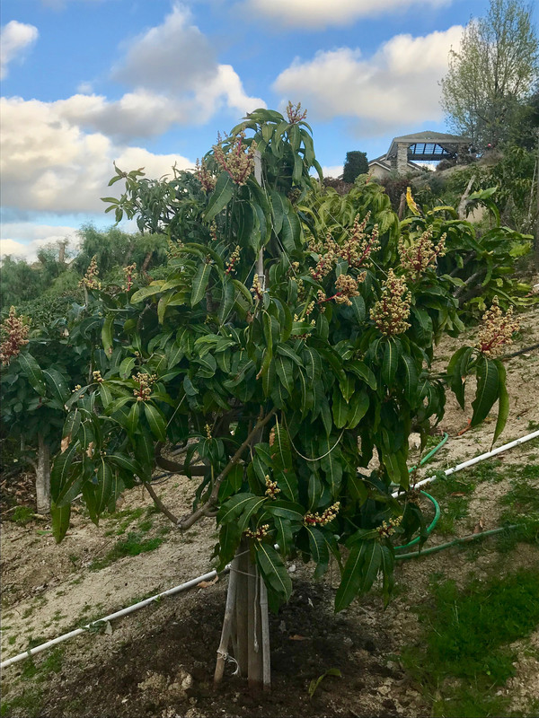 Dd9 B8 C62 6 Ebb 4221 B654 88845 E728292 Postimages