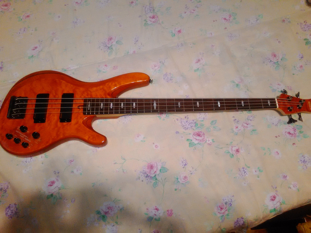 P_20160110_192913[1]