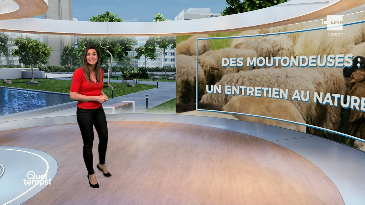 Météo 2022_09_01_11_40_00.ts_snapshot_09.19.405