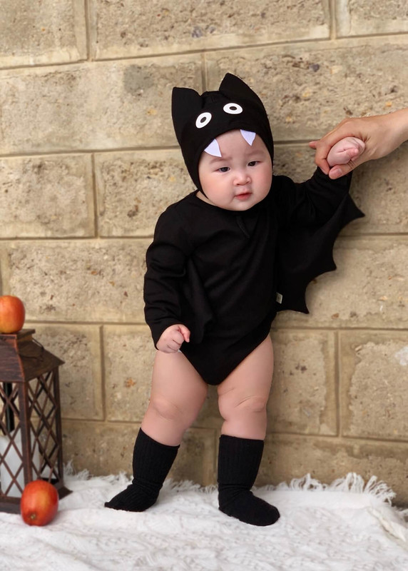 Bộ Chú dơi con quyến dũ