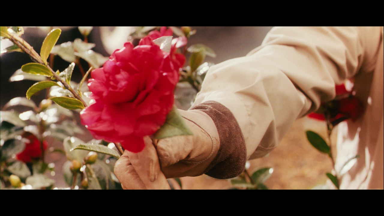 vlcsnap-2024-06-12-18h25m33s310