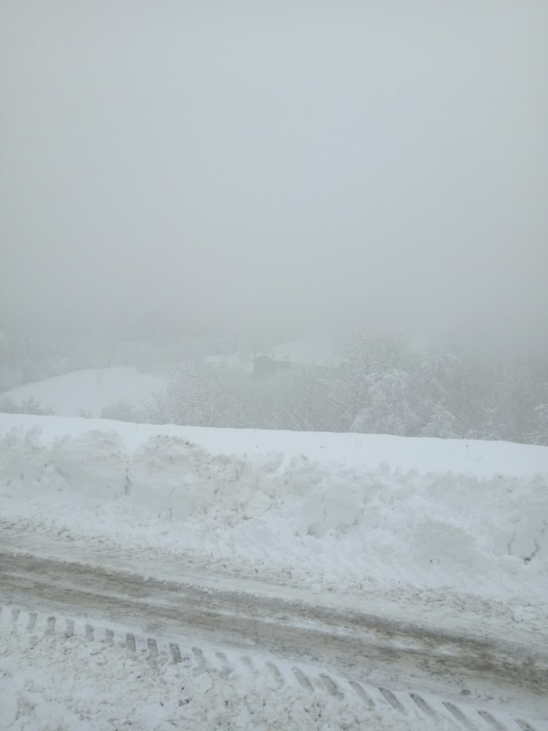 IMG_20201228_135523_563