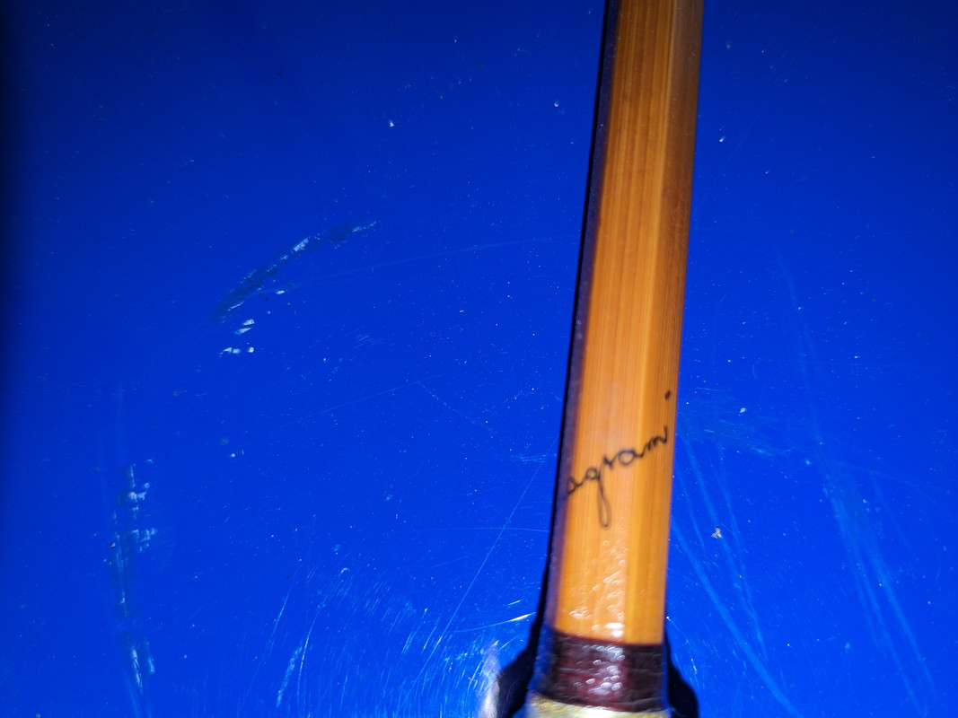 PXL_20231106_151209428