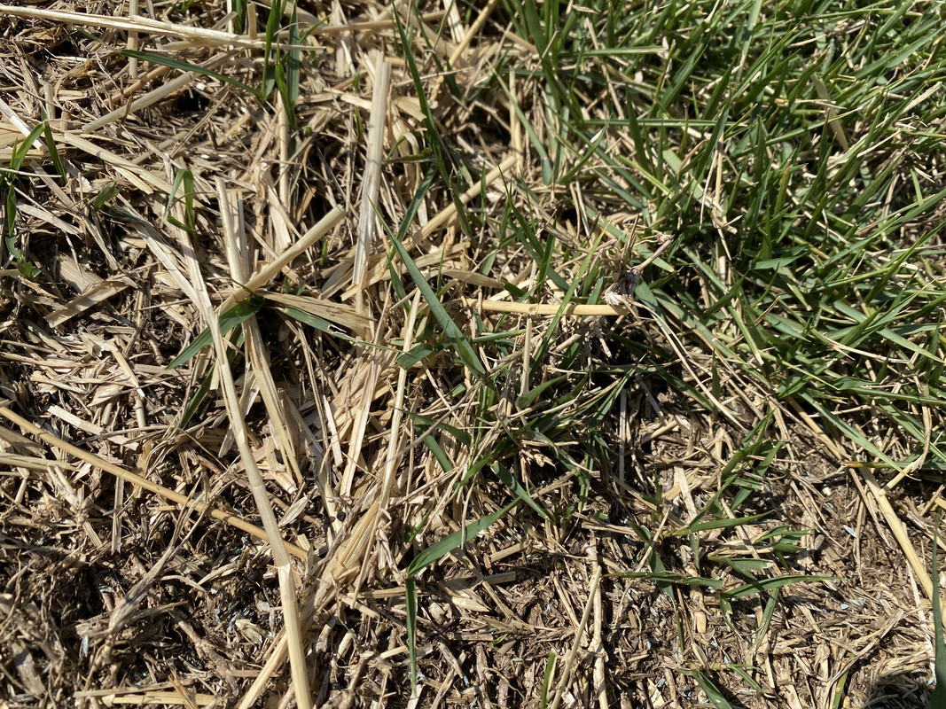 7ED87A4A-2A90-49D9-A011-2144E53DB4BD