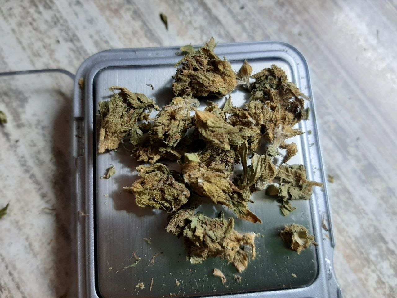 photo 2026 03 25 18 29 21