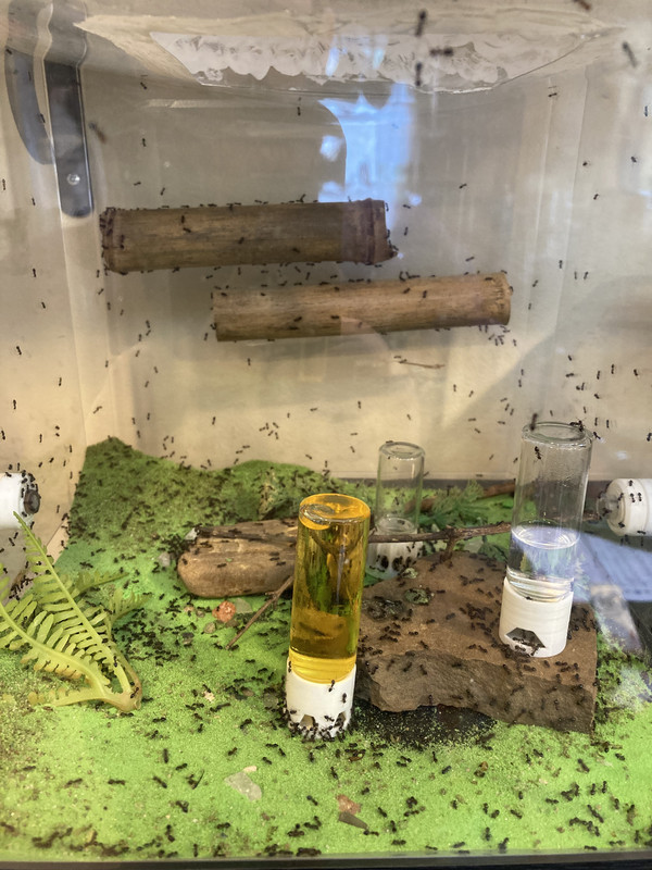 CD4263B4-7809-4E1D-ADBB-02F2249144E2