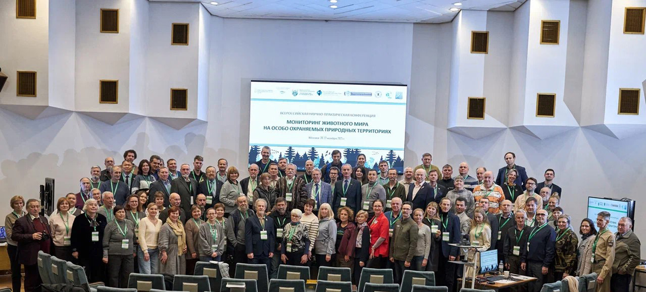 конференция (37)