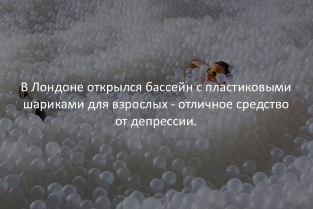 8631414.jpg