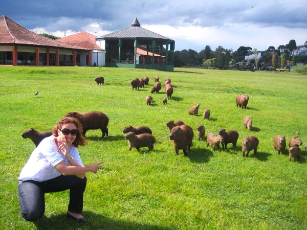 Curitiba-8-3-210 - Brasil y sus pueblos-2010 (9)