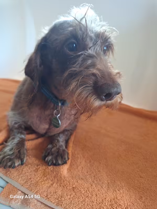 [Image: 20240930-120234.avif]