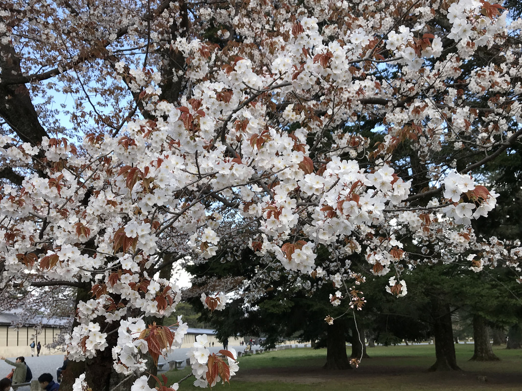 4E14FD61-B8A5-400B-AB71-D4573E8D7411