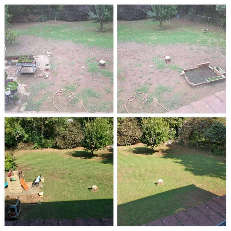 20190912_102543-COLLAGE