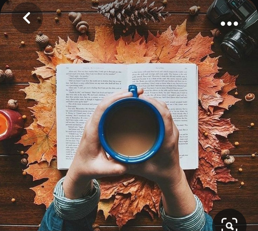 Screenshot_20231008_225152_Pinterest