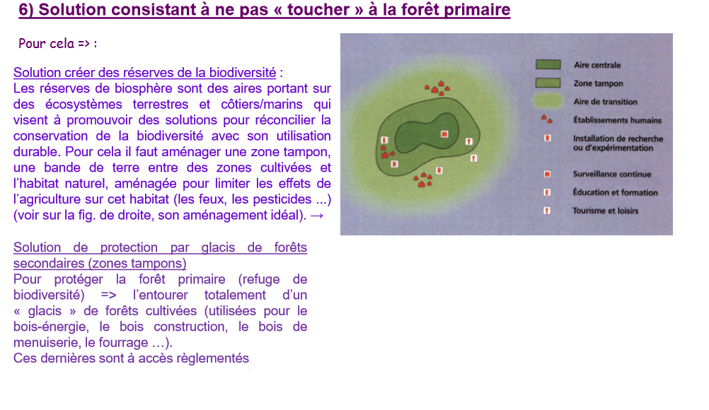 Aménagements des jardins et des forêts