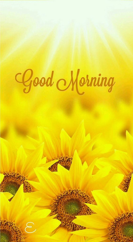 Good Morning, Good Afternoon, Good Evening, Good Night, Good Day! (#2)