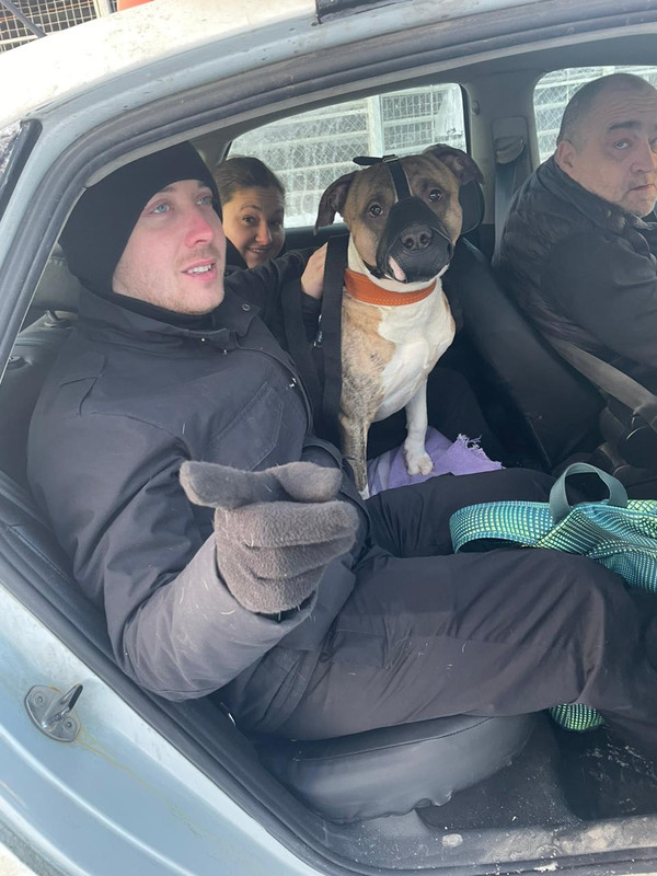 E960D58B-BD26-4368-9FD5-A24D7461029F