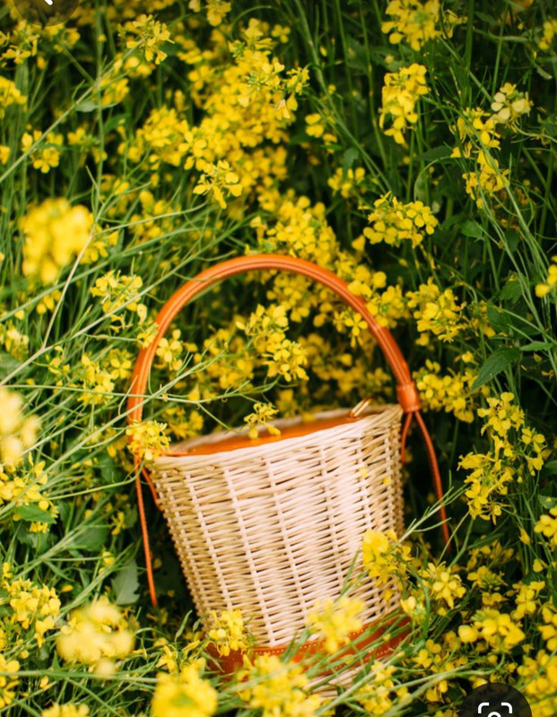 Screenshot_20240330_234512_Pinterest