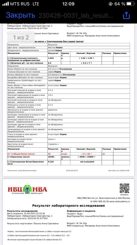 FAAB2295-3101-4B88-9348-921718F2907F