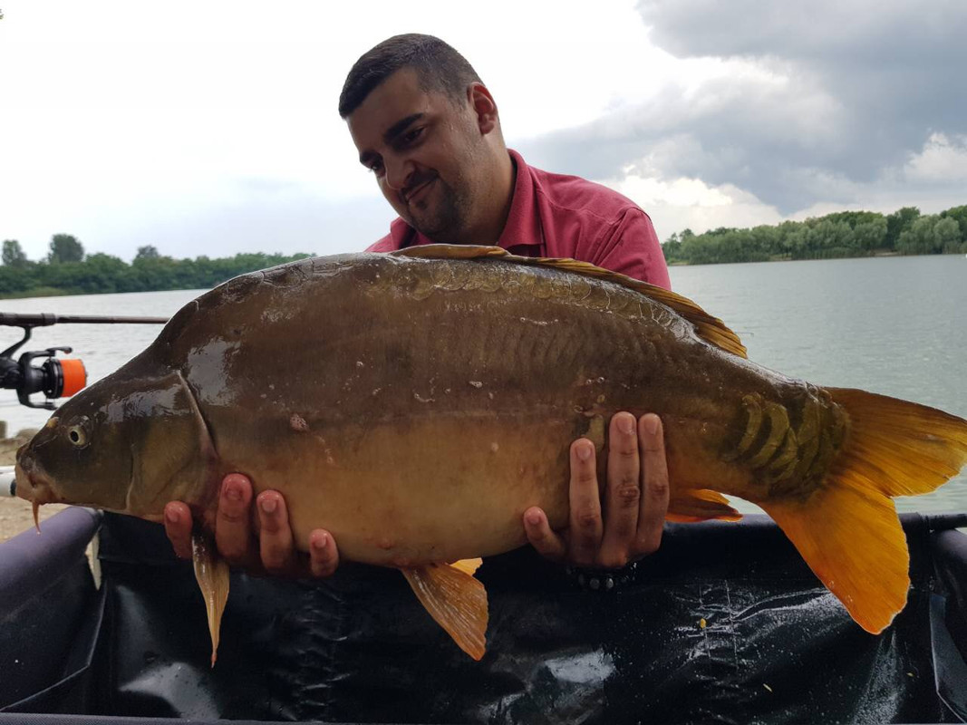 5F522CF4-C28B-495F-A89C-475416D8E0B7