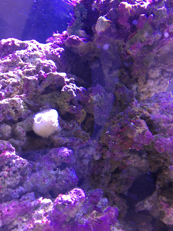 E29EDCF7-3B4B-492E-AE91-1FEB539B7835