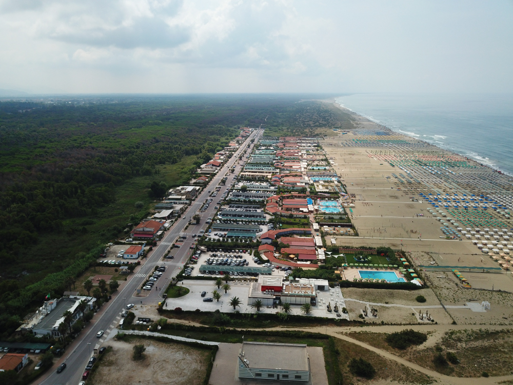 Commercial Land in Dholera