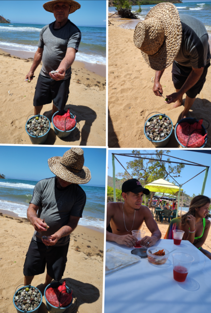 Screenshot_20230416-162239-756