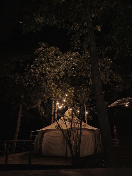 Domo con guirnaldas de luces entre los árboles de noche