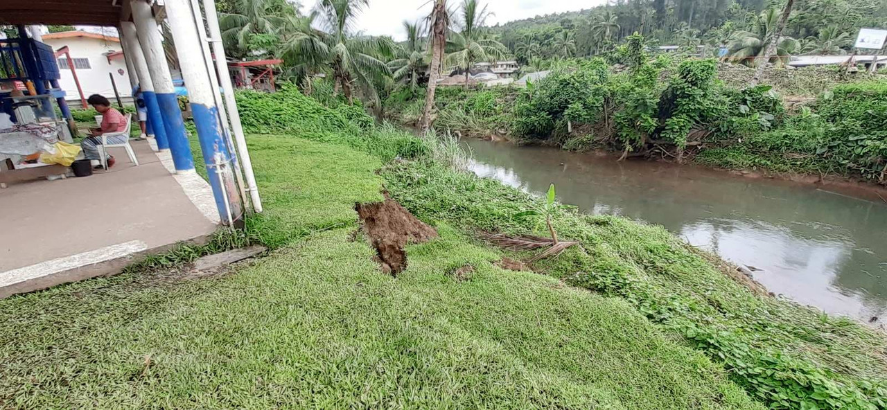 156995369-446207613466090-3256017964645588597-n