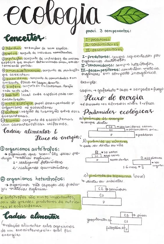 Exemplo de material de estudo 3