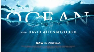 Ocean-with-David-Attenborough-2025-2160p-WEB-h265-EDITH-Hun-Dub.jpg