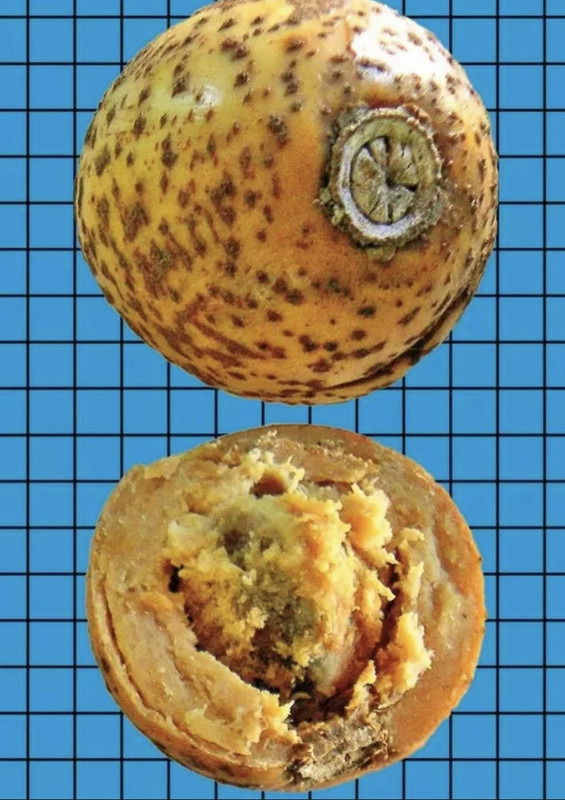 D8277F0E-31E1-4DA4-8D30-BD766E31A369