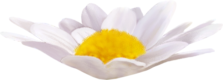 Kit_Just_Bee_In_ME (57)