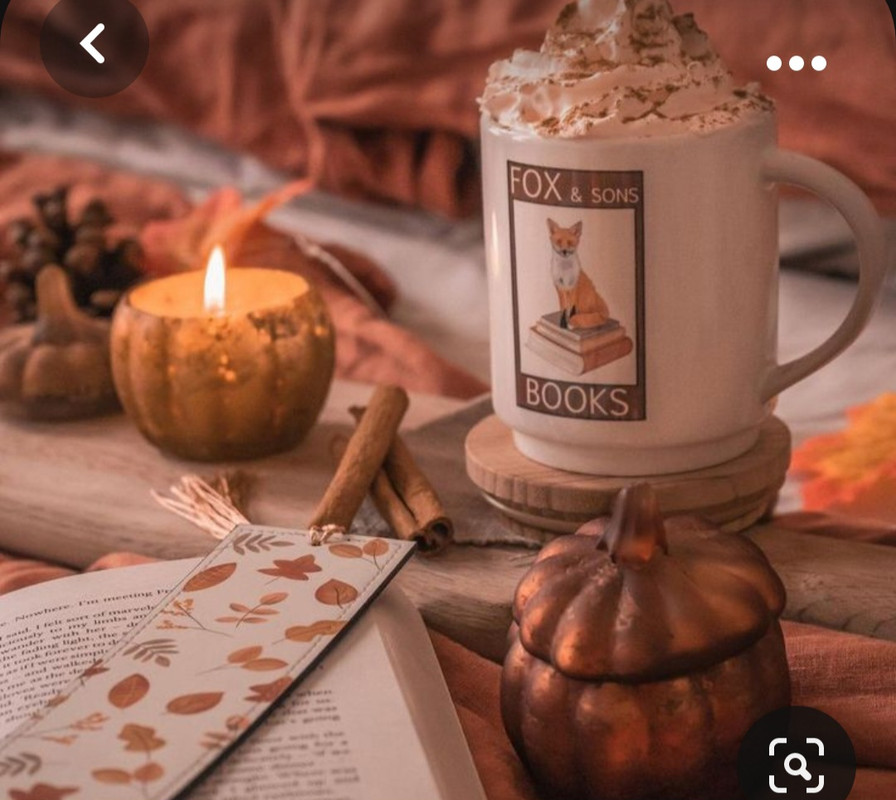 Screenshot_20231015_205549_Pinterest